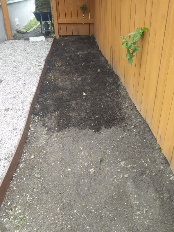 Side-yard planting bed prepared beside the new gravel walkway