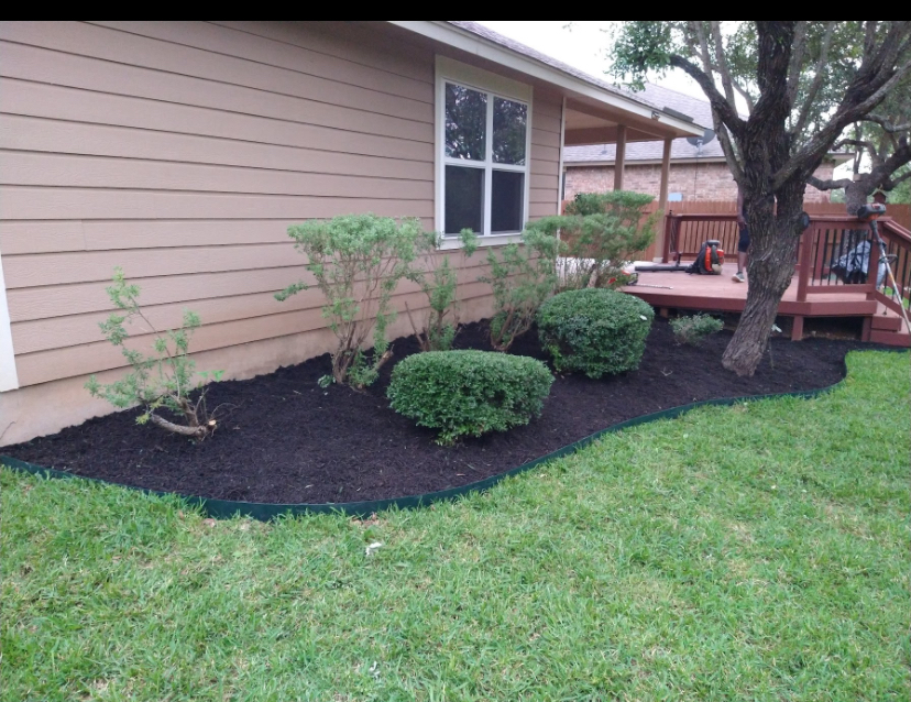 Completed shrub bed with fresh dark mulch